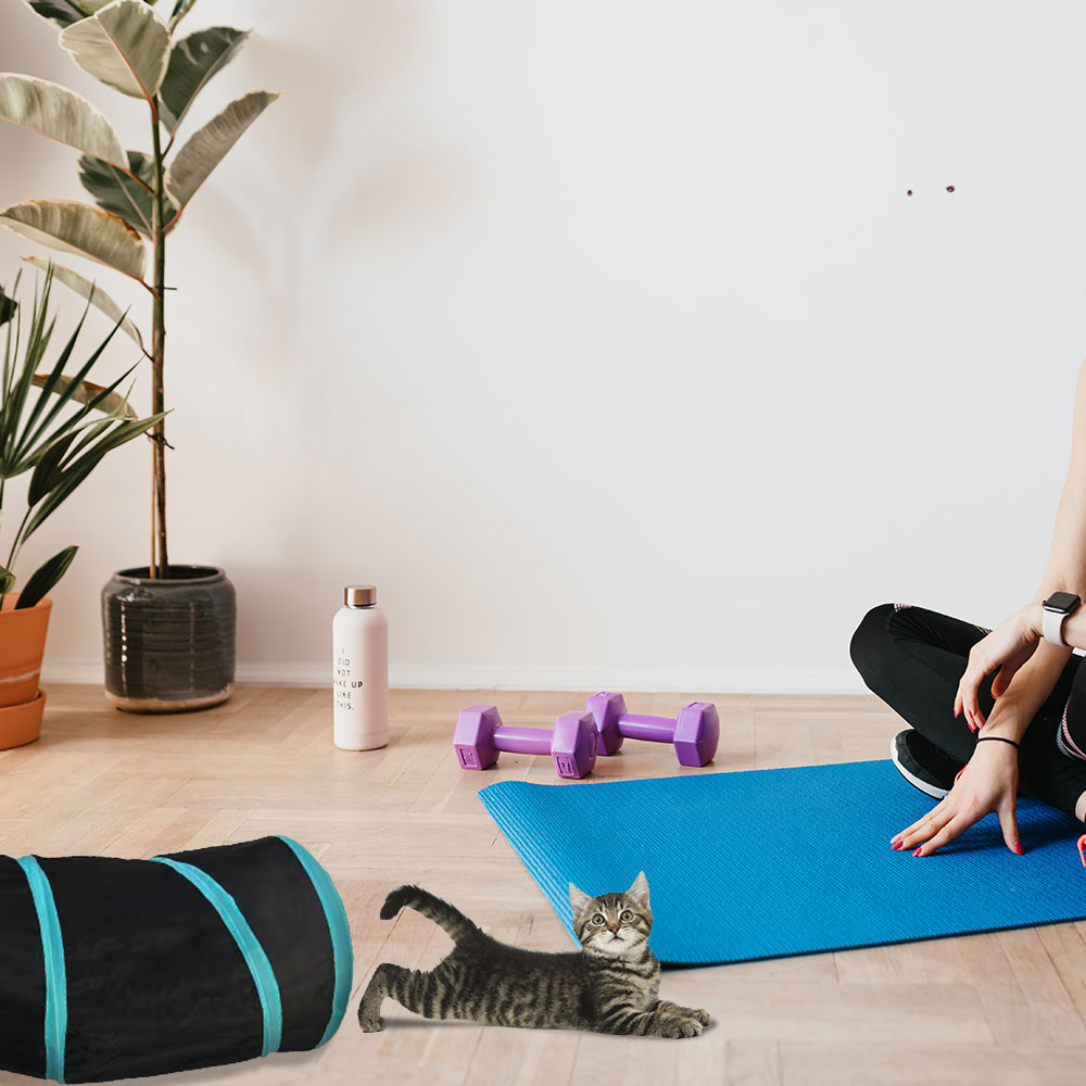 Pet Foldable Funny Exercise 4-Way Tunnel Play Toy