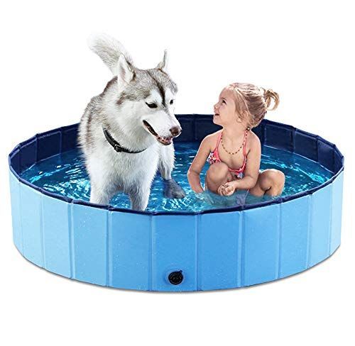 63*12in Foldable Dog Pet Bath Pool Collapsible Dog Pet Pool Bathing Tub Doggie Wading Pool