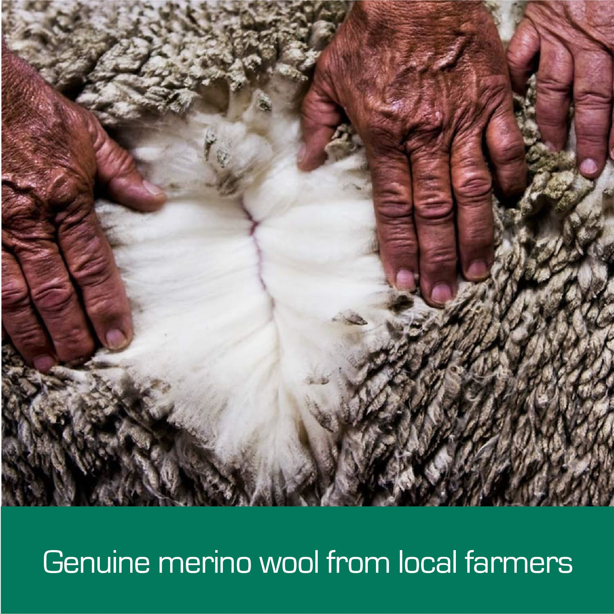 Woolcomfort Australian Made Merino Wool Quilt 700GSM, Single 5